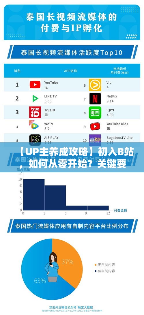 【UP主养成攻略】初入B站，如何从零开始？关键要点解析，带你成为拥有百万粉丝的超人气UP主！